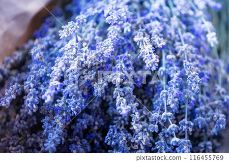Fresh lavender wrapped in a sheet of paper 116455769
