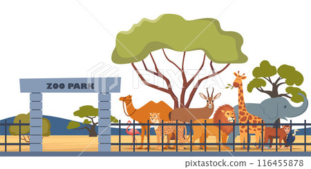Zoo entrance gate and exotic African animals. Elephant, giraffe, camel, cheetah, lion, flamingo, vulture, monkey on territory of wildlife zoo park surrounded by fence. Vector illustration. 116455878