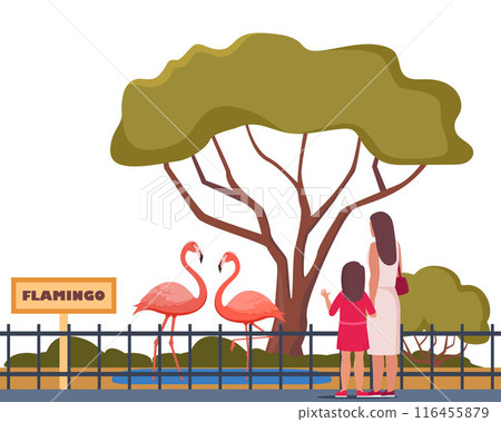 Flamingo on territory of wildlife zoo park surrounded by fence. Parent and kid watching animals in zoo park. Vector illustration. 116455879
