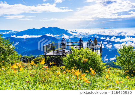 [栃木縣] 在黃花菜盛開的霧降高原的小丸山展望台上欣賞壯麗景色的人們 116455980