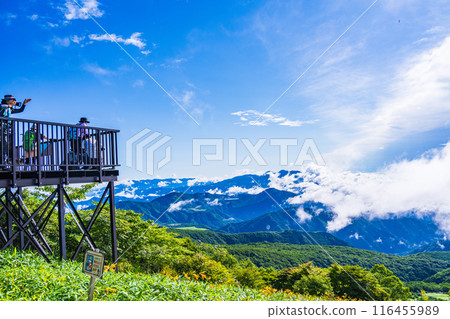 [Tochigi Prefecture] People enjoying the spectacular view from Komaruyama Observatory on the Kirifuri Plateau where the Day Hemerocallis blooms 116455989