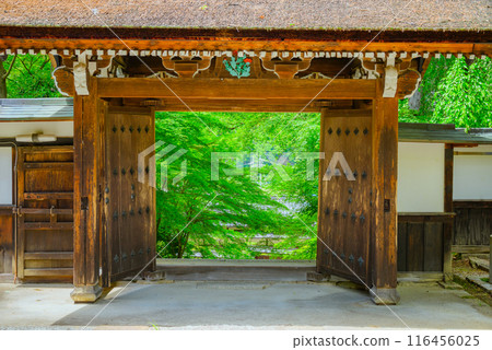[Suharajuku] Mountain gate and fresh greenery [Okusa Village, Kiso District] 116456025