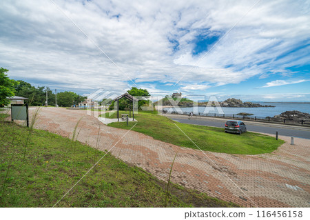 從青森縣蕪島散步公園眺望蕪島八戶市 從青森縣蕪島散步公園眺望蕪島八戶市 116456158