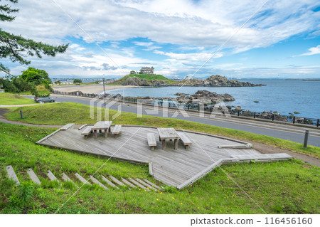 從青森縣蕪島散步公園眺望蕪島八戶市 116456160
