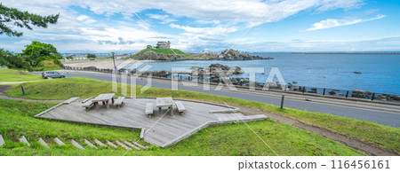 從青森縣蕪島散步公園眺望蕪島八戶市 從青森縣蕪島散步公園眺望蕪島八戶市 116456161
