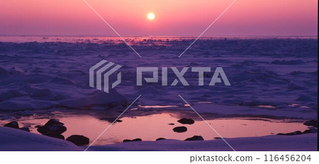 北海道溫根別漂流海上日落 116456204