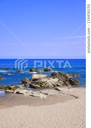 千葉縣南房總市和田浦海灘的碧海藍天 千葉縣南房總市和田浦海灘的碧海藍天 116456250