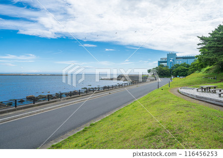 「青森縣」八戶市蕪島散步公園 116456253