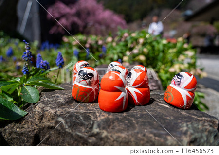 大阪箕面勝尾寺境內的風景與不倒翁 116456573