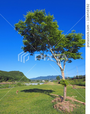 Kotonami Pottery Square) [8, Manno Town, Nakatado District, Kagawa Prefecture 116456592