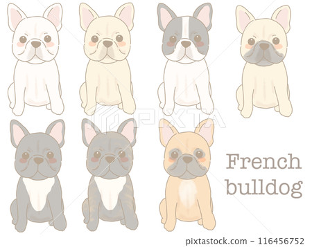 Sitting French Bulldogs - Set of various colors Sitting French Bulldogs - Set of various colors 116456752