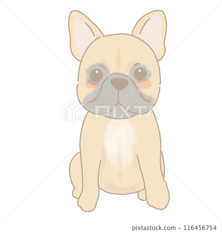 法國鬥牛犬小鹿坐 116456754