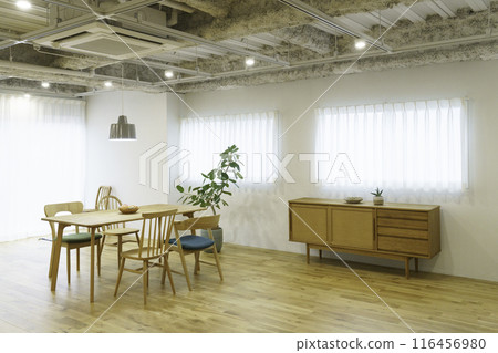 有窗戶的明亮客廳 116456980