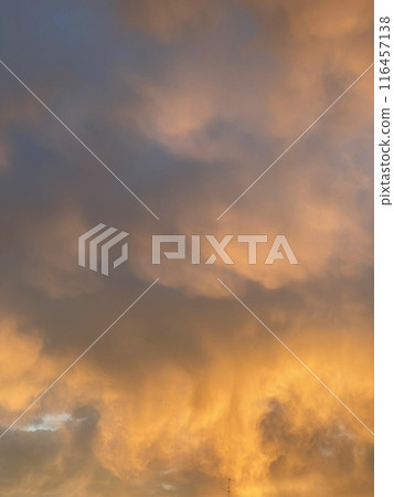 Golden cloudscape painting the evening sky 116457138