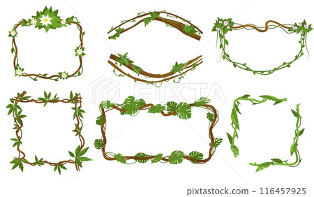 Jungle liana frames. Intertwined branch. Green vine. Different shapes. Creeper stems with flowers or palm leaves. Exotic climbing plant. Rainforest greenery. Vector botanical borders set 116457925