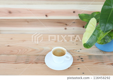 Coffee and plant pot Philodendron Burlemarxii on wooden table 116458292
