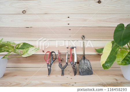 Rustic gardening tools and plants on wooden table 116458293