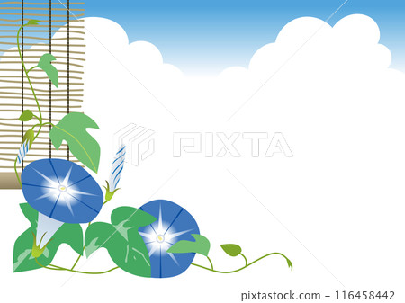 夏季天空框架，有兩個藍色牽牛花和雪花蓮 116458442