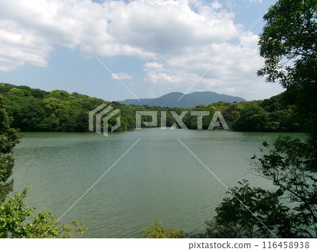 Lush nature 116458938