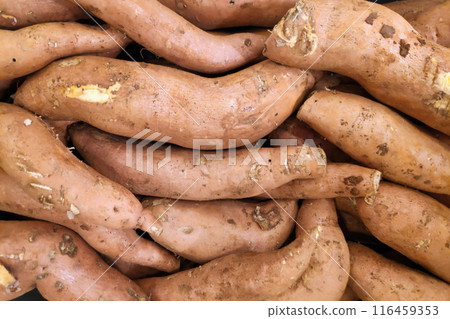 Stack of sweet potatoes on a market stall Stack of sweet potatoes on a market stall 116459353