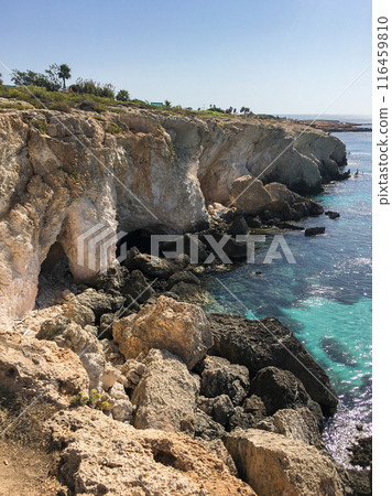Sea caves and cliffs in Ayia Napa, Cyprus 116459810