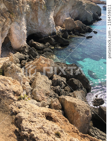 Sea caves and cliffs in Ayia Napa, Cyprus 116459811