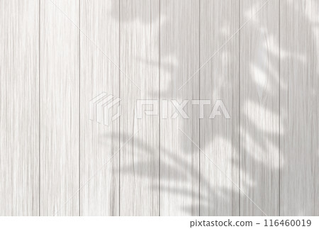 Background illustration _ sunlight filtering through the trees 116460019