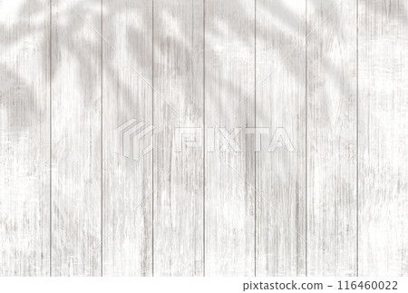Background illustration _ sunlight filtering through the trees 116460022