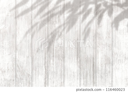 Background illustration _ sunlight filtering through the trees 116460023