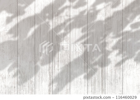 Background illustration _ sunlight filtering through the trees 116460029