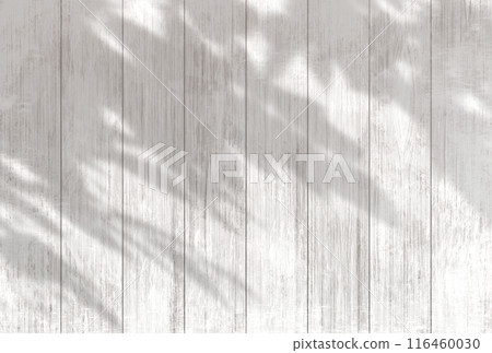 Background illustration _ sunlight filtering through the trees 116460030