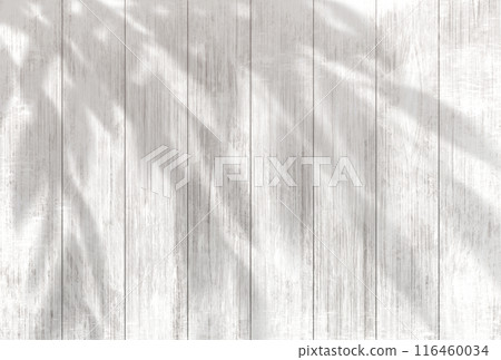 背景插圖_陽光透過樹木過濾 116460034