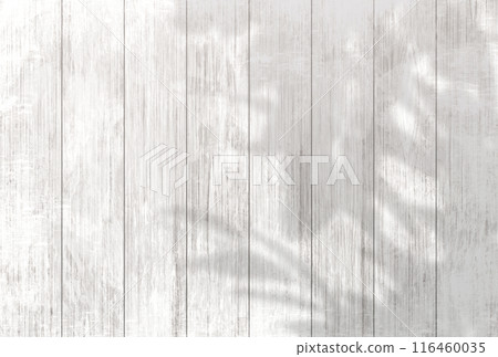 背景插圖_陽光透過樹木過濾 背景插圖_陽光透過樹木過濾 116460035