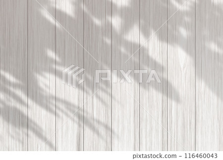Background illustration _ sunlight filtering through the trees 116460043