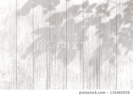 Background illustration _ sunlight filtering through the trees Background illustration _ sunlight filtering through the trees 116460056