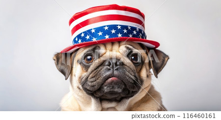A portrait of a cute pug wearing an American flag hat, showcasing patriotism. Generative ai. 116460161