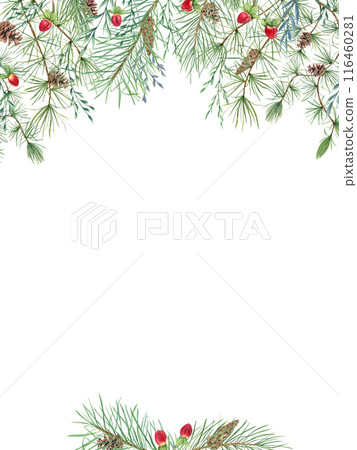 Pine cones, red berries, herbs and evergreen branches. Fir, Larch, spikelet and hypericum berry. Christmas vertical frame with empty space for text. Watercolor illustration isolated on white. Pine cones, red berries, herbs and evergreen branches. Fir, Larch, spikelet and hypericum berry. Christmas vertical frame with empty space for text. Watercolor illustration isolated on white. 116460281