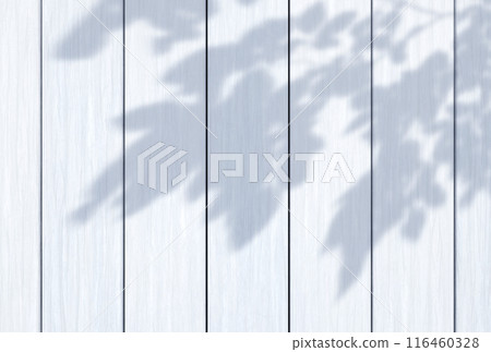Background illustration_Sunlight filtering through the trees_Wood grain_White Background illustration_Sunlight filtering through the trees_Wood grain_White 116460328