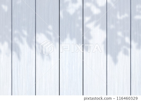 Background illustration_Sunlight filtering through the trees_Wood grain_White 116460329