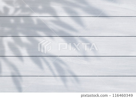 Background illustration_Sunlight filtering through the trees_Wood grain_White 116460349