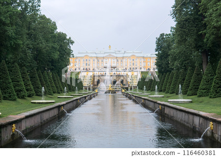 view to the Big Palace from the Marine Canal in Peterhof Park, Russia view to the Big Palace from the Marine Canal in Peterhof Park, Russia 116460381