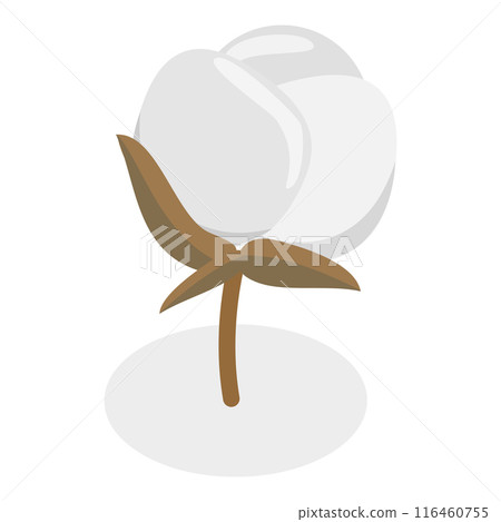 3D Isometric Flat Vector Illustration of Cotton Flower Collection, Pure and Organic Product. Item 6 3D Isometric Flat Vector Illustration of Cotton Flower Collection, Pure and Organic Product. Item 6 116460755