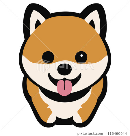 Shiba Inu拉出一個舌頭 116460944