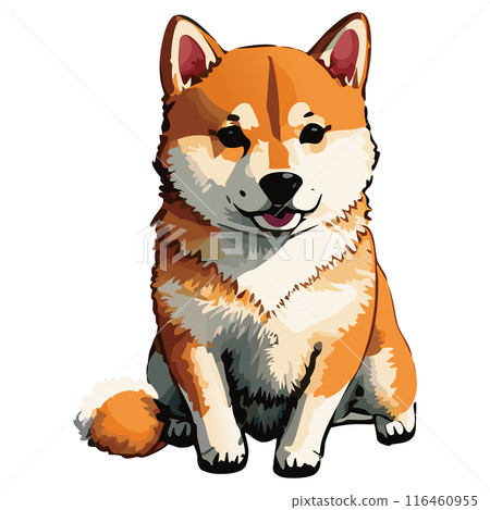 Shiba inu sitting 116460955