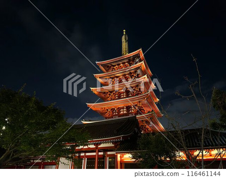 The illuminated five-story pagoda in Asakusa The illuminated five-story pagoda in Asakusa 116461144