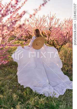 Woman blooming peach orchard. Against the backdrop of a picturesque peach orchard, a woman in a long white dress and hat enjoys a peaceful walk in the park, surrounded by the beauty of nature. Woman blooming peach orchard. Against the backdrop of a picturesque peach orchard, a woman in a long white dress and hat enjoys a peaceful walk in the park, surrounded by the beauty of nature. 116461337