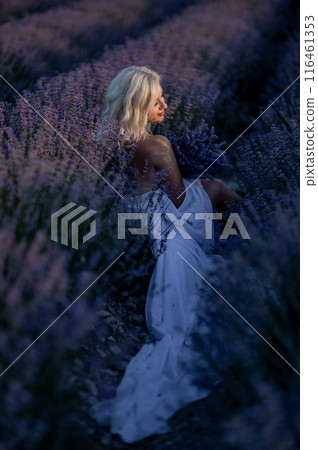 Blonde woman poses in lavender field at sunset. Happy woman in white dress holds lavender bouquet. Aromatherapy concept, lavender oil, photo session in lavender Blonde woman poses in lavender field at sunset. Happy woman in white dress holds lavender bouquet. Aromatherapy concept, lavender oil, photo session in lavender 116461353