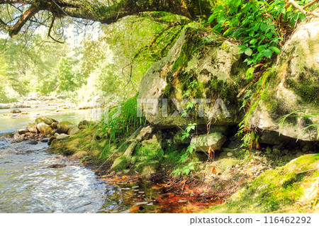 Rocky coast of the mountain river taken closeup in the shade of trees in Geneva canton, Switzerland. Rocky coast of the mountain river taken closeup in the shade of trees in Geneva canton, Switzerland. 116462292