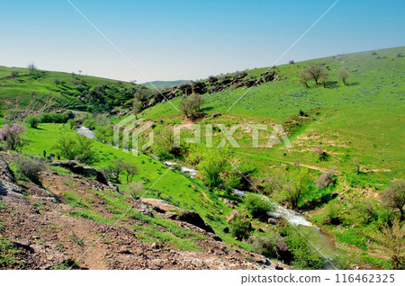 Majestic Flows 116462325