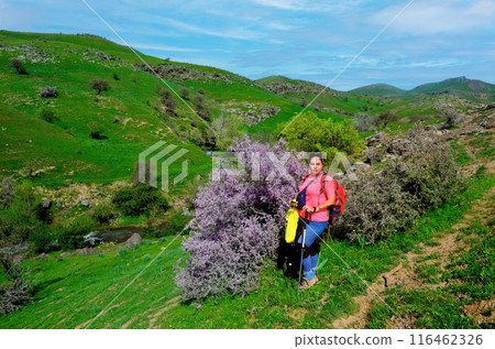 Nature Enthusiasts Journey Through Scenic Mountain Peaks 116462326